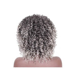 PERRUQUE AFRO CHEVEUX GRIS