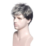 perruque cheveux gris homme