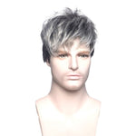 perruque cheveux gris homme