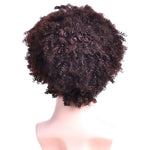 PERRUQUE AFRO HOMME