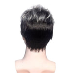 perruque cheveux gris homme