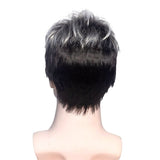 perruque cheveux gris homme