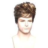 PERRUQUE BRUNE HOMME