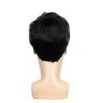Perruque Homme Cheveux noir derriere