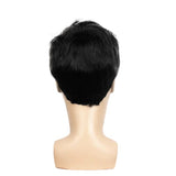 Perruque Homme Cheveux noir derriere